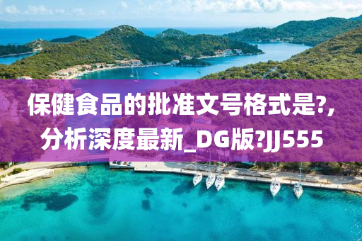 保健食品的批准文号格式是?,分析深度最新_DG版?JJ555