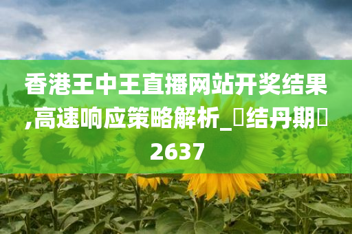 香港王中王直播网站开奖结果,高速响应策略解析_‌结丹期‌2637