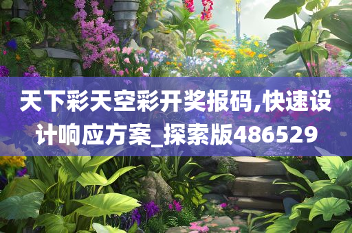 天下彩天空彩开奖报码,快速设计响应方案_探索版486529