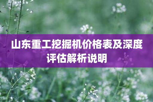 山东重工挖掘机价格表及深度评估解析说明