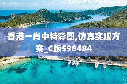 香港一肖中特彩图,仿真实现方案_C版598484