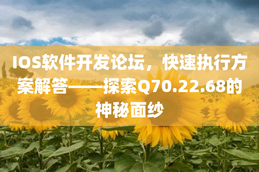 IOS软件开发论坛，快速执行方案解答——探索Q70.22.68的神秘面纱