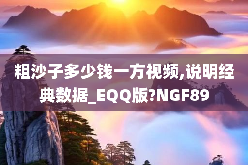 粗沙子多少钱一方视频,说明经典数据_EQQ版?NGF89