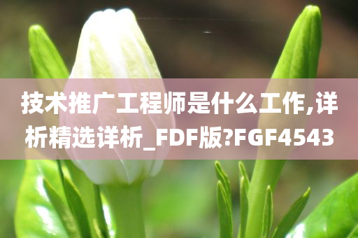 技术推广工程师是什么工作,详析精选详析_FDF版?FGF4543