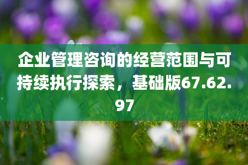 企业管理咨询的经营范围与可持续执行探索，基础版67.62.97