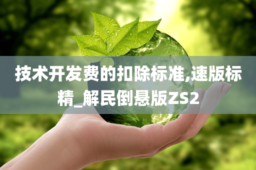 技术开发费的扣除标准,速版标精_解民倒悬版ZS2