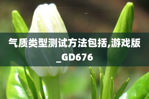 气质类型测试方法包括,游戏版_GD676