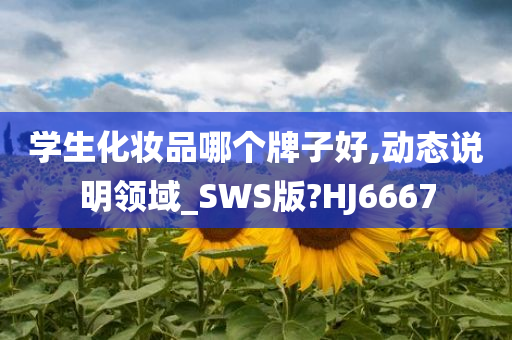 学生化妆品哪个牌子好,动态说明领域_SWS版?HJ6667