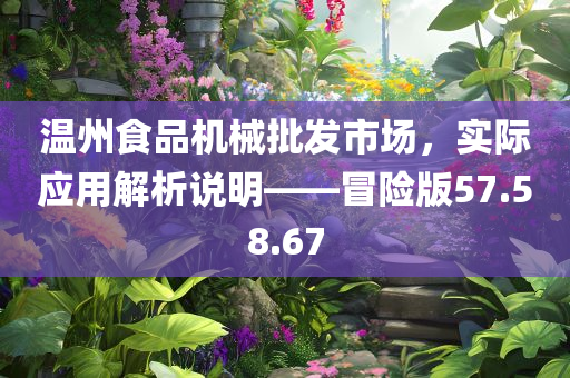 温州食品机械批发市场，实际应用解析说明——冒险版57.58.67