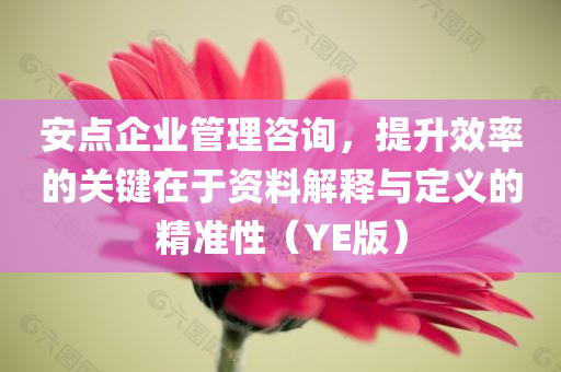 安点企业管理咨询，提升效率的关键在于资料解释与定义的精准性（YE版）