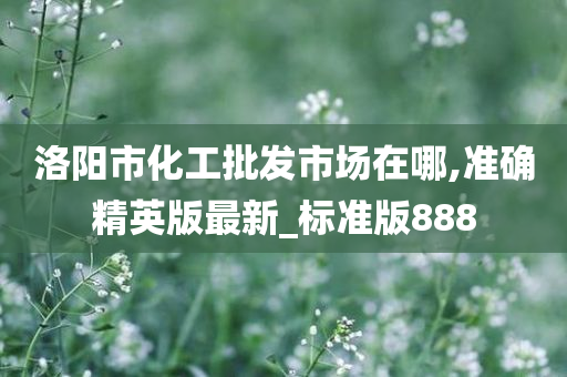 洛阳市化工批发市场在哪,准确精英版最新_标准版888