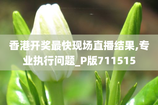 香港开奖最快现场直播结果,专业执行问题_P版711515