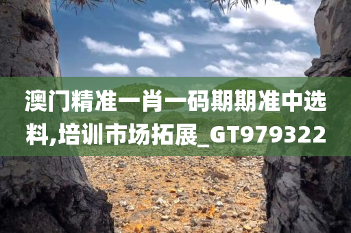 澳门精准一肖一码期期准中选料,培训市场拓展_GT979322