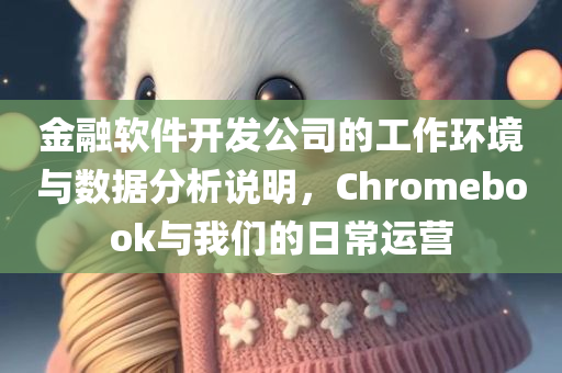 金融软件开发公司的工作环境与数据分析说明，Chromebook与我们的日常运营