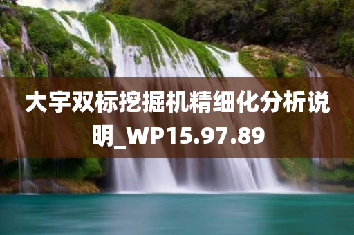 大宇双标挖掘机精细化分析说明_WP15.97.89