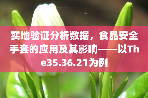 实地验证分析数据，食品安全手套的应用及其影响——以The35.36.21为例