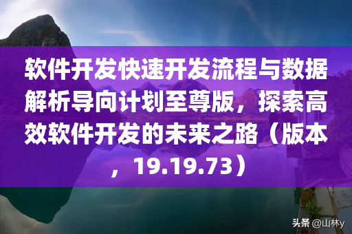 软件开发快速开发流程与数据解析导向计划至尊版，探索高效软件开发的未来之路（版本，19.19.73）