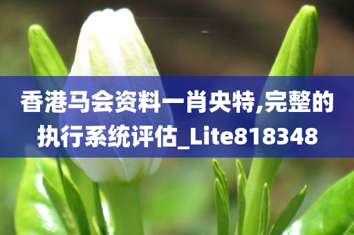 香港马会资料一肖央特,完整的执行系统评估_Lite818348