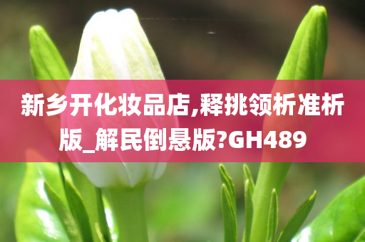 新乡开化妆品店,释挑领析准析版_解民倒悬版?GH489