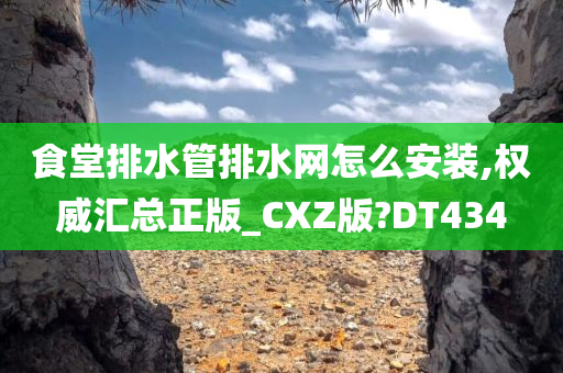 食堂排水管排水网怎么安装,权威汇总正版_CXZ版?DT434