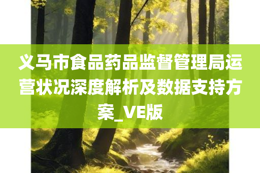 义马市食品药品监督管理局运营状况深度解析及数据支持方案_VE版