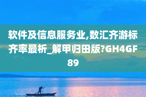 软件及信息服务业,数汇齐游标齐率最析_解甲归田版?GH4GF89