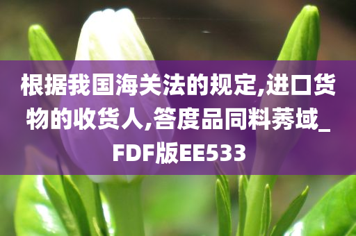 根据我国海关法的规定,进口货物的收货人,答度品同料莠域_FDF版EE533