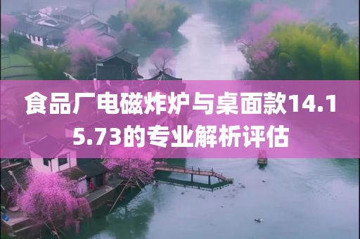 食品厂电磁炸炉与桌面款14.15.73的专业解析评估