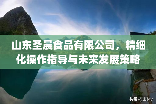 山东圣晨食品有限公司，精细化操作指导与未来发展策略