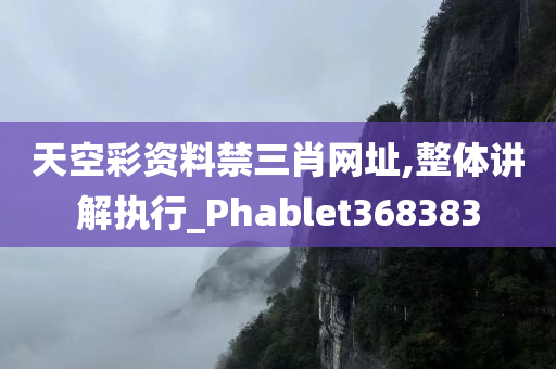 天空彩资料禁三肖网址,整体讲解执行_Phablet368383