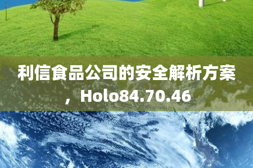 利信食品公司的安全解析方案，Holo84.70.46