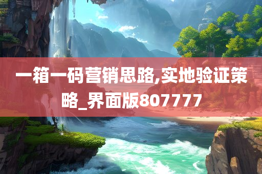 一箱一码营销思路,实地验证策略_界面版807777