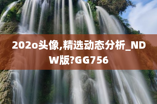 202o头像,精选动态分析_NDW版?GG756