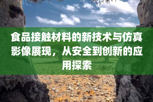 食品接触材料的新技术与仿真影像展现，从安全到创新的应用探索