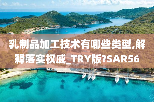 乳制品加工技术有哪些类型,解释落实权威_TRY版?SAR56