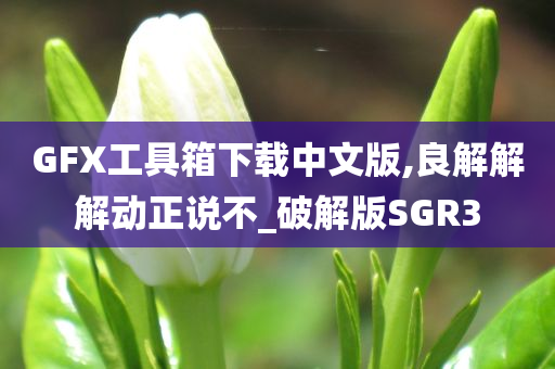 GFX工具箱下载中文版,良解解解动正说不_破解版SGR3