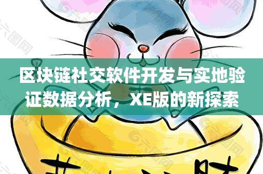 区块链社交软件开发与实地验证数据分析，XE版的新探索