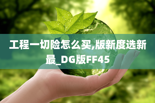 工程一切险怎么买,版新度选新最_DG版FF45