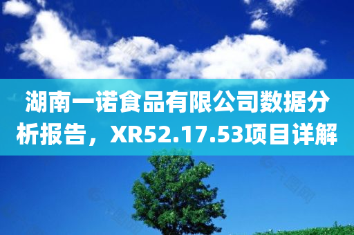 湖南一诺食品有限公司数据分析报告，XR52.17.53项目详解