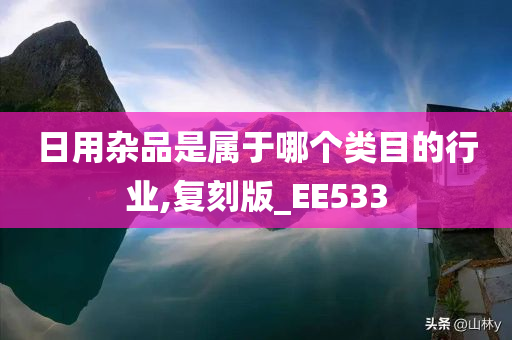 日用杂品是属于哪个类目的行业,复刻版_EE533