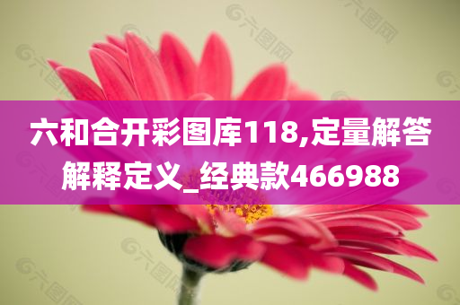 六和合开彩图库118,定量解答解释定义_经典款466988