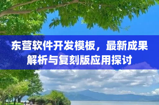 东营软件开发模板，最新成果解析与复刻版应用探讨