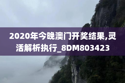 2020年今晚澳门开奖结果,灵活解析执行_8DM803423