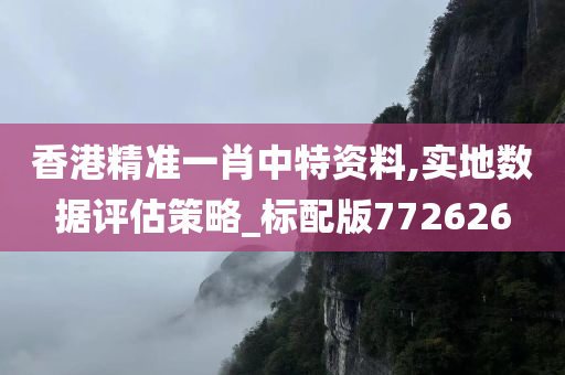 香港精准一肖中特资料,实地数据评估策略_标配版772626