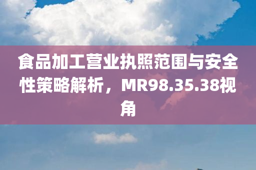 食品加工营业执照范围与安全性策略解析，MR98.35.38视角