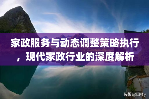 家政服务与动态调整策略执行，现代家政行业的深度解析