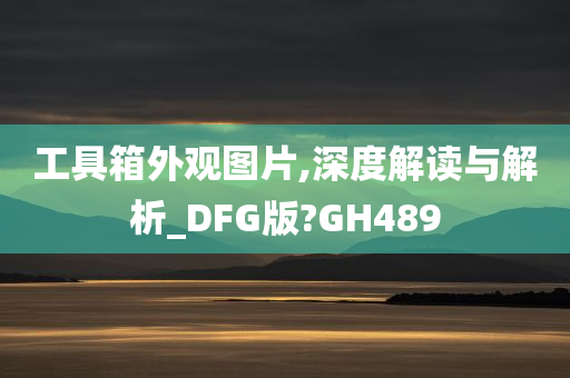 工具箱外观图片,深度解读与解析_DFG版?GH489