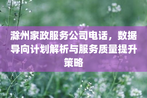 滁州家政服务公司电话，数据导向计划解析与服务质量提升策略