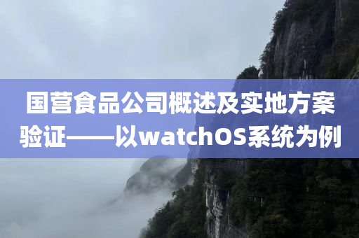 国营食品公司概述及实地方案验证——以watchOS系统为例