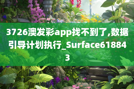 3726澳发彩app找不到了,数据引导计划执行_Surface618843